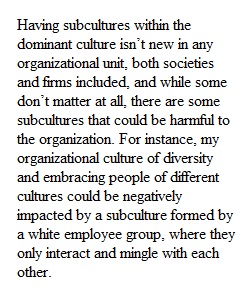 Discussion Organizational Culture